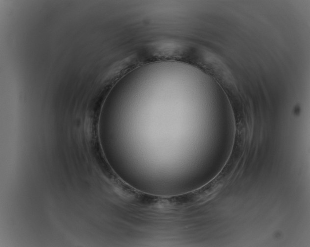 X0000094800416200711241428