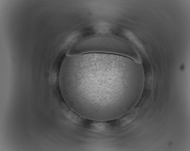 X0000094800417200711241428