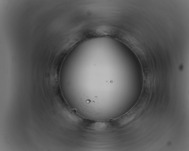 X0000094800418200711241428