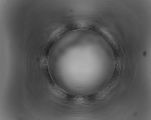 X0000094800419200711241428