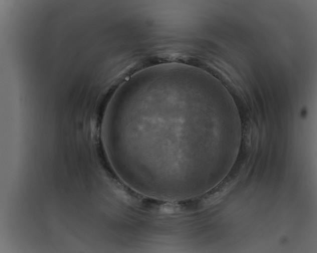 X0000094800420200711241428
