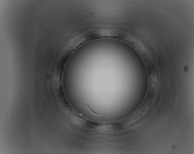 X0000094800422200711241428