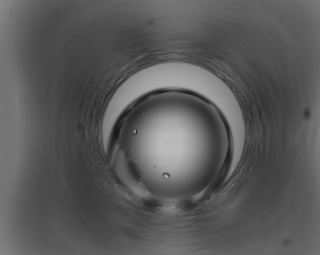 X0000094800425200711241428