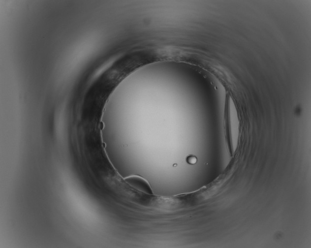 X0000094800429200711241428