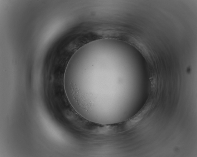 X0000094800430200711241428