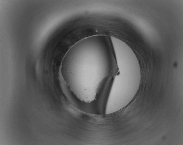 X0000094800431200711241428