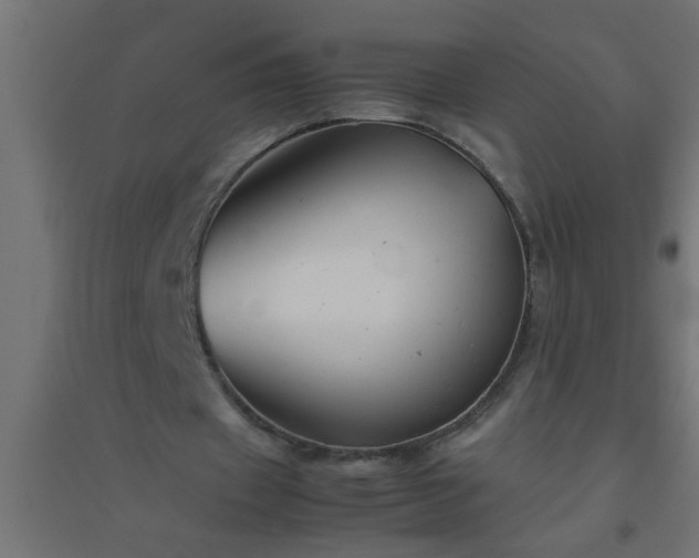 X0000094800433200711241427