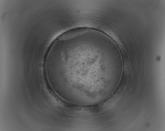 X0000094800434200711241427