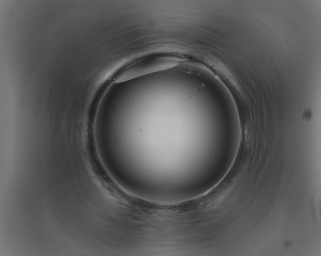 X0000094800436200711241427