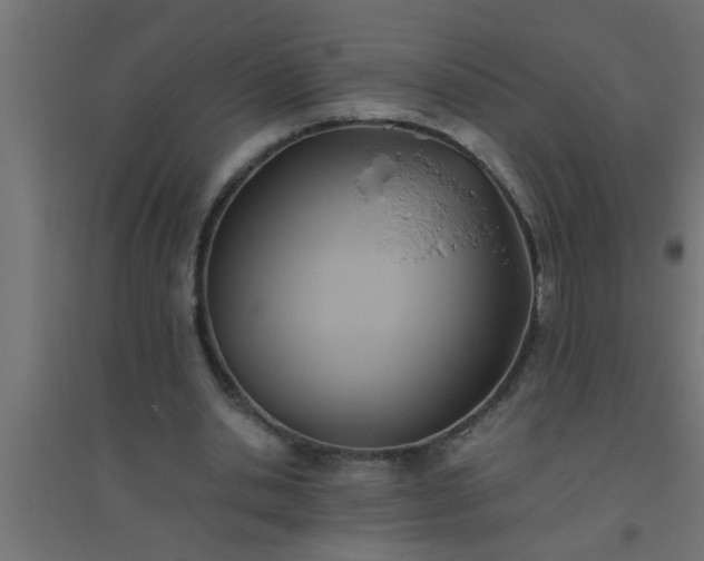 X0000094800438200711241427