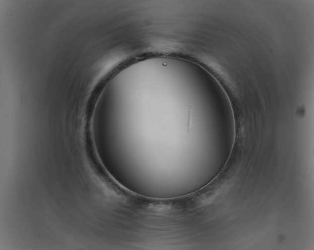 X0000094800440200711241427