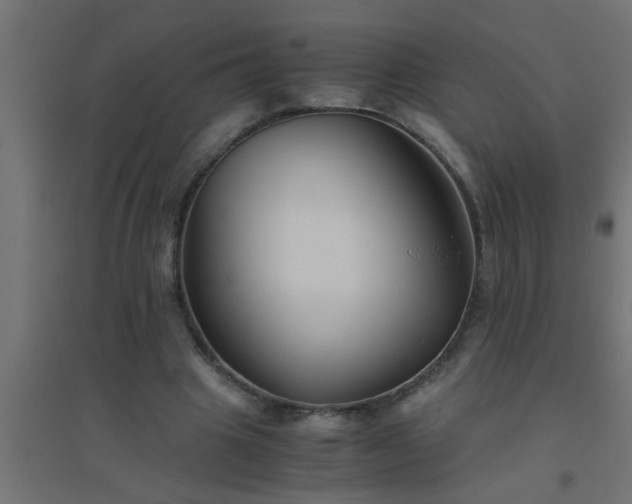 X0000094800441200711241427