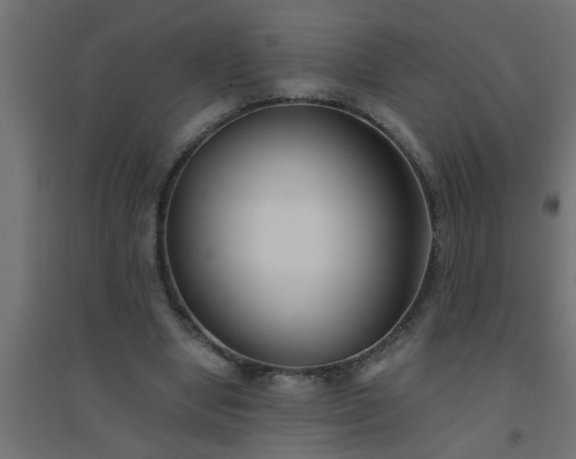 X0000094800442200711241427