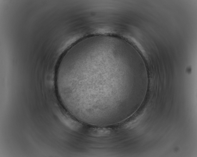 X0000094800443200711241427
