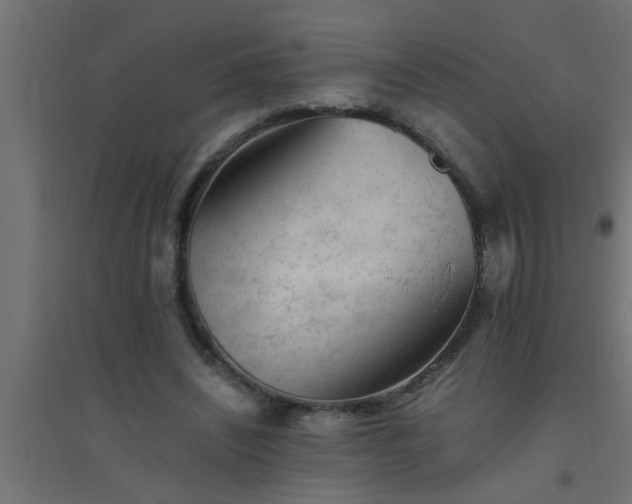 X0000094800444200711241427