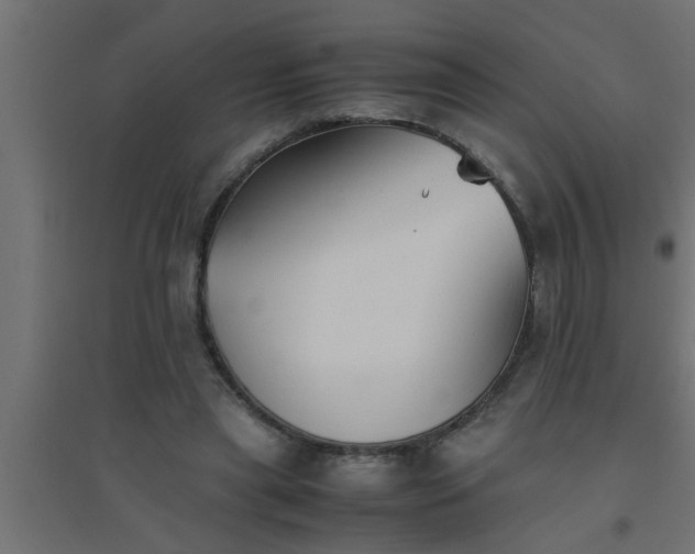 X0000094800445200711241427