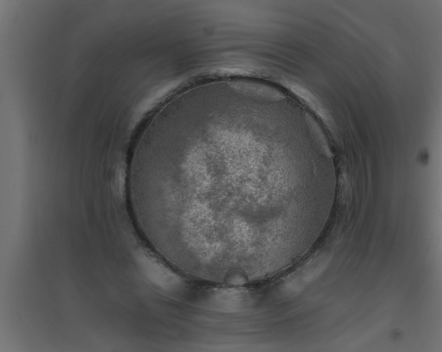 X0000094800446200711241427