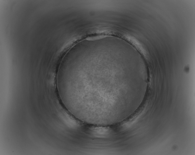 X0000094800449200711241427