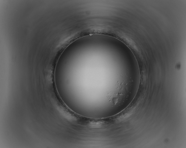 X0000094800450200711241427