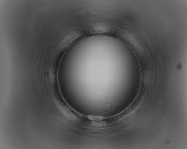 X0000094800455200711241427