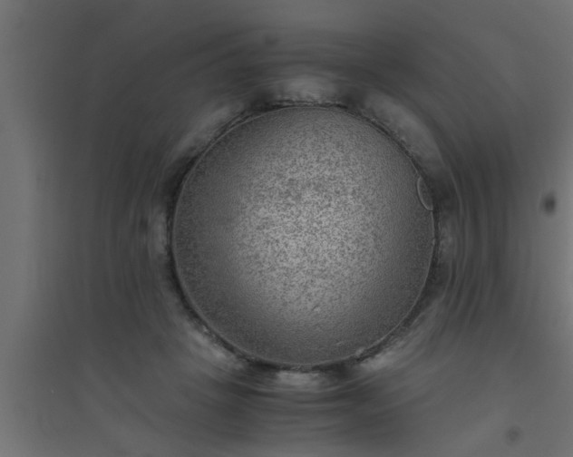 X0000094800457200711241427