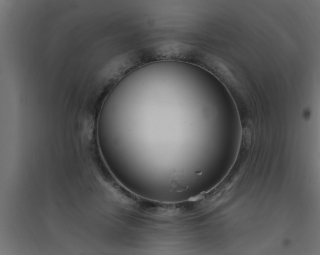 X0000094800458200711241427