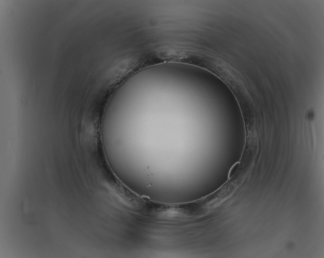 X0000094800460200711241427
