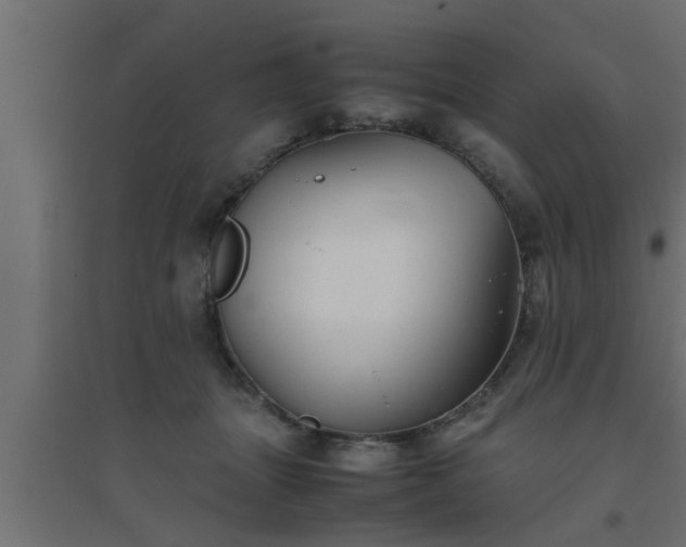 X0000094800463200711241427