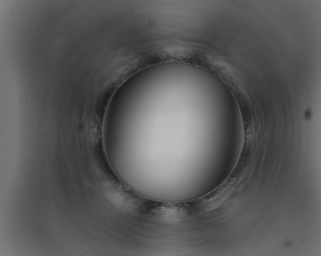 X0000094800464200711241427