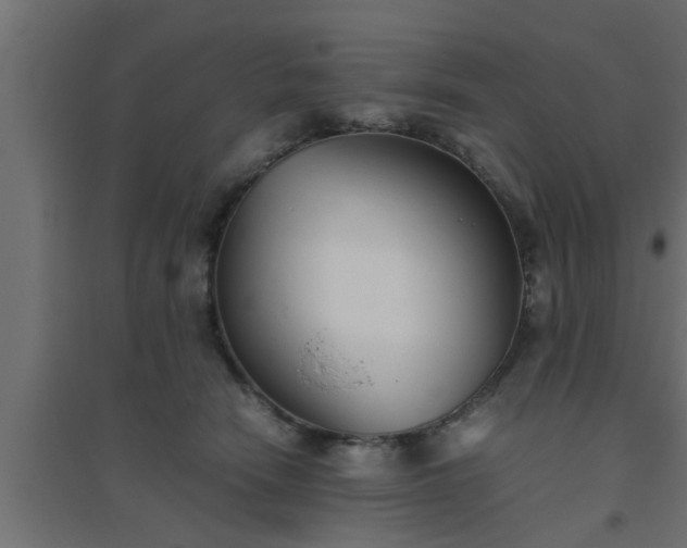 X0000094800466200711241427