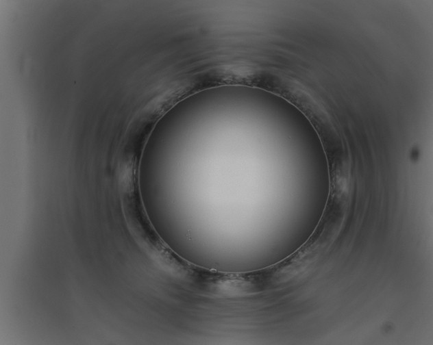 X0000094800468200711241427