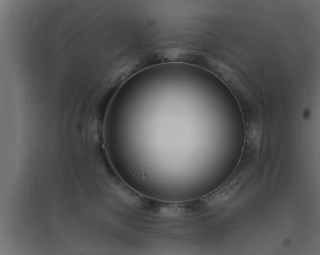 X0000094800470200711241427