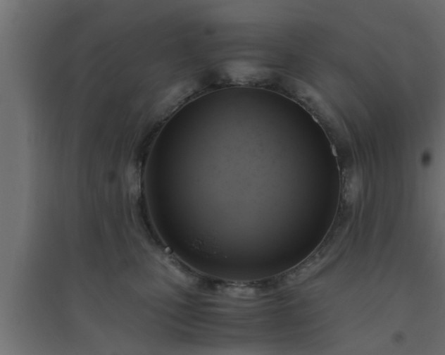 X0000094800471200711241427