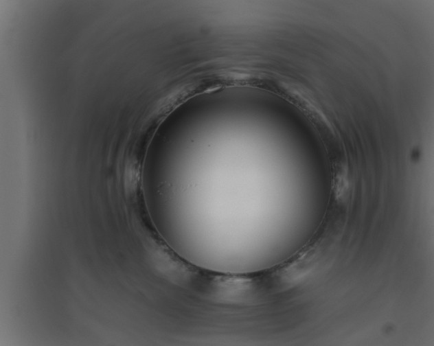 X0000094800476200711241428