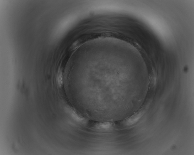X0000094800479200711241428