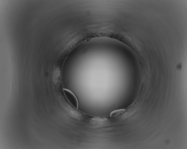 X0000094800480200711241428