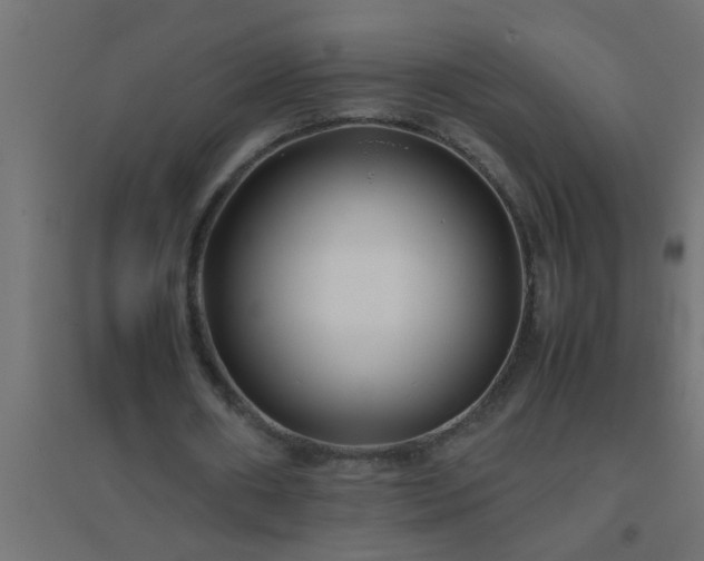 X0000094800482200711241427