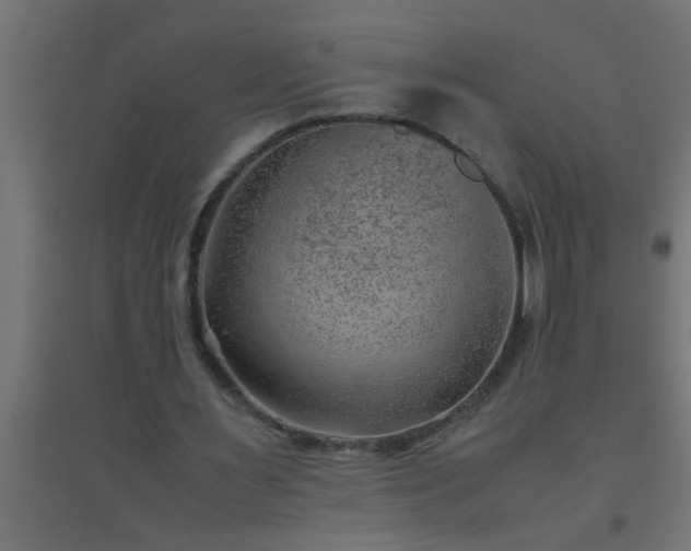 X0000094800483200711241427