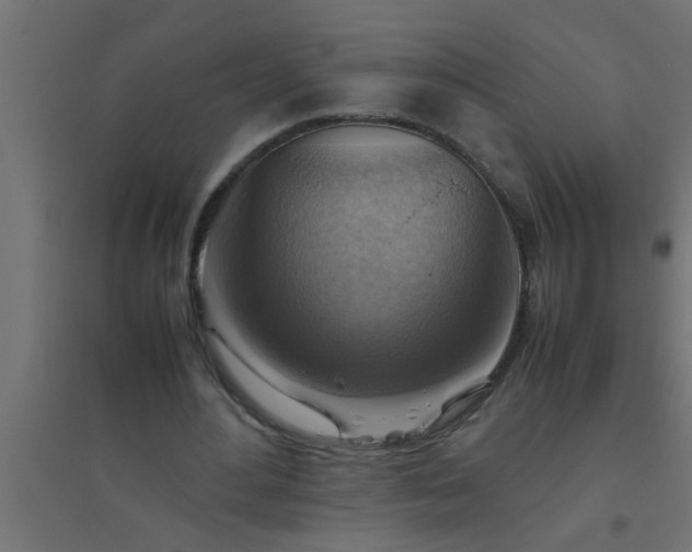 X0000094800484200711241427
