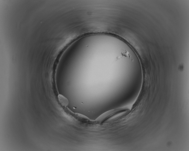 X0000094800485200711241427
