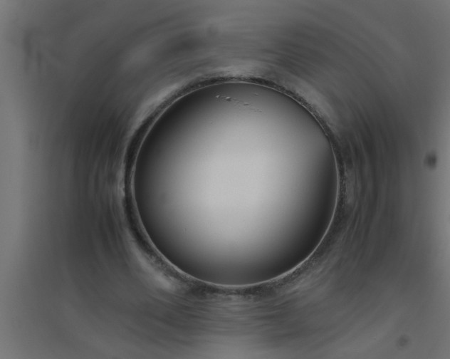 X0000094800486200711241427