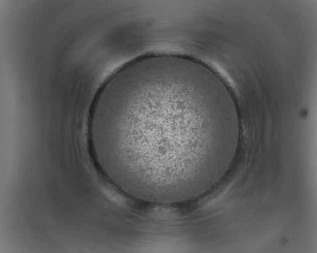 X0000094800487200711241427
