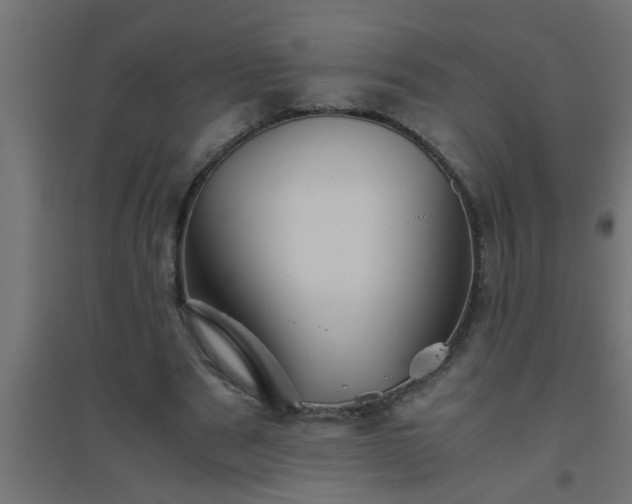 X0000094800489200711241427