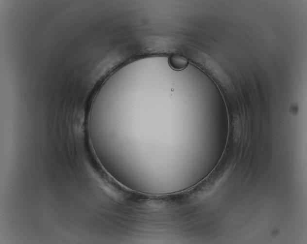 X0000094800490200711241427