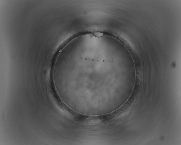 X0000094800491200711241427