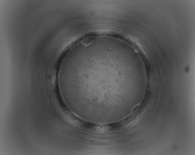 X0000094800495200711241427
