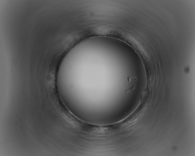 X0000094800497200711241427