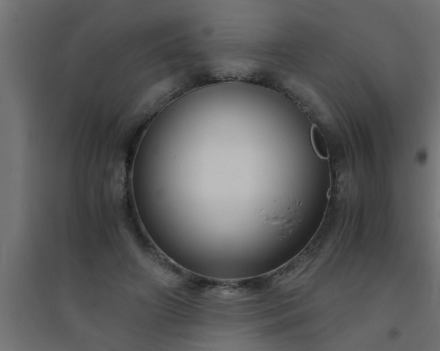 X0000094800498200711241427