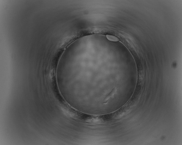 X0000094800503200711241427