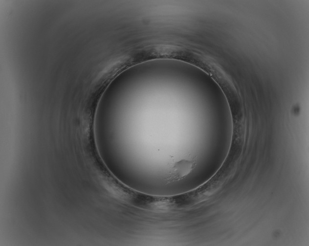 X0000094800505200711241427